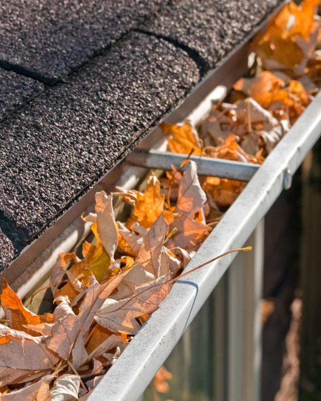Gutter Repair